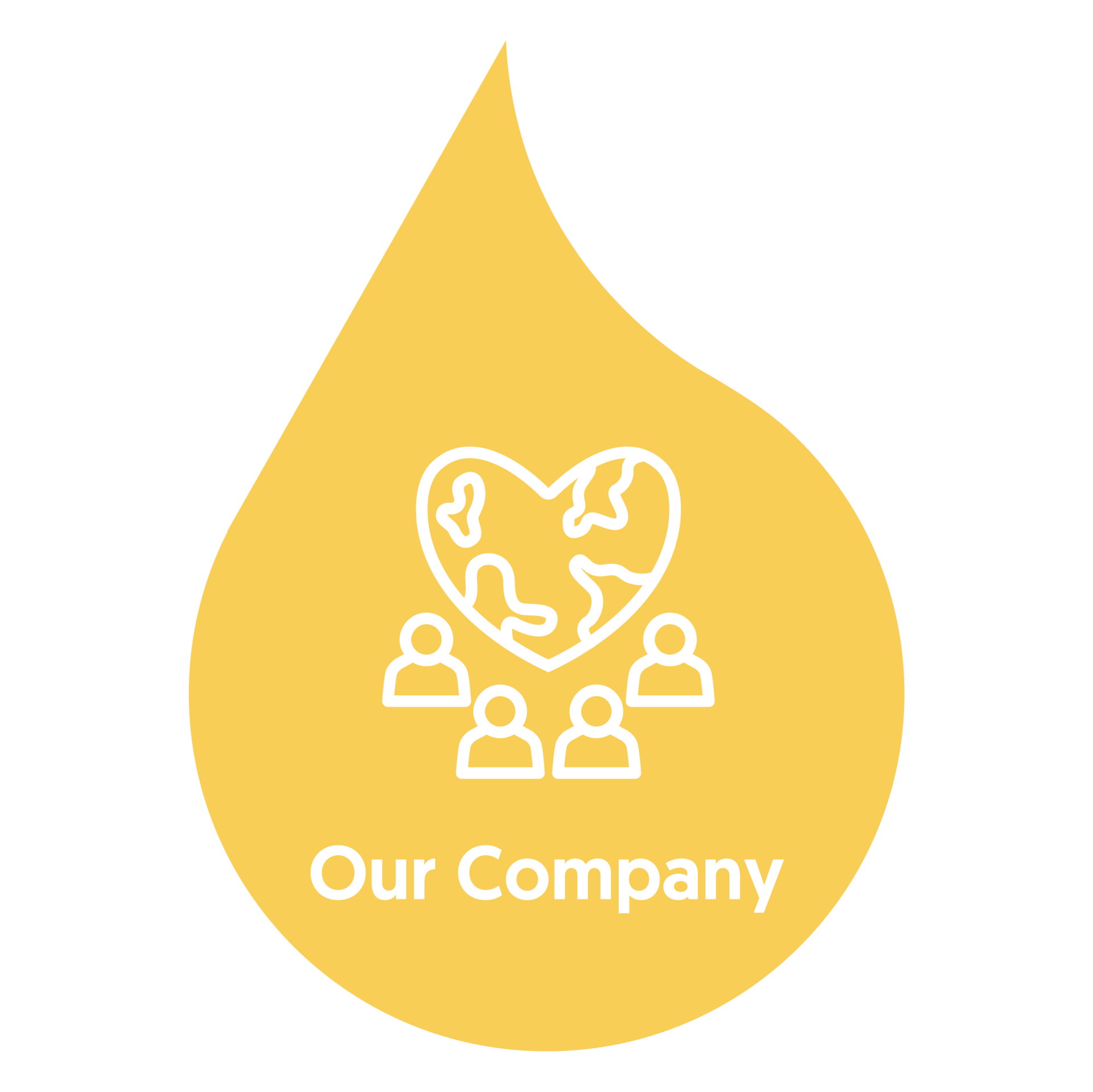 Our Company Our Company