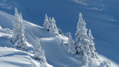 Gerichte, Aktionen und ein Geheimrezept für die Winterzeit