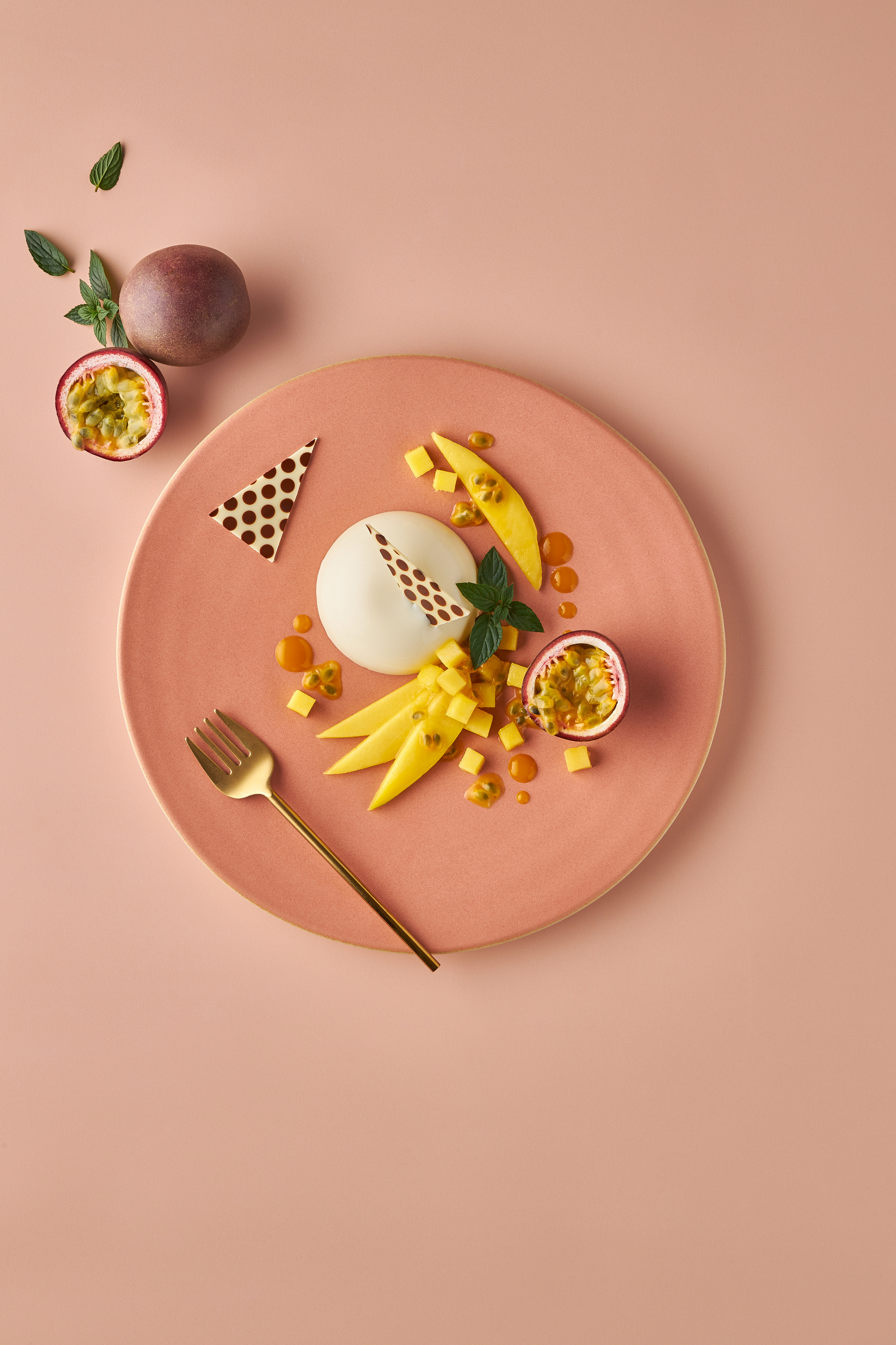 Tropische Panna Cotta mit Schoko-Dekor - Tellerdessert